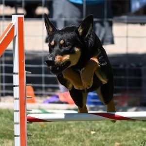 Meet your Posher, Kari